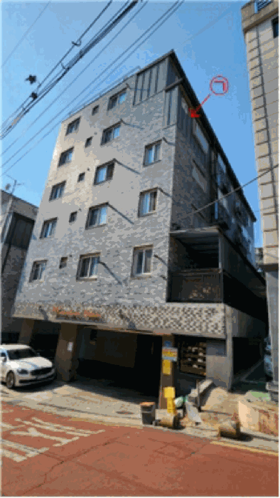 사진 6