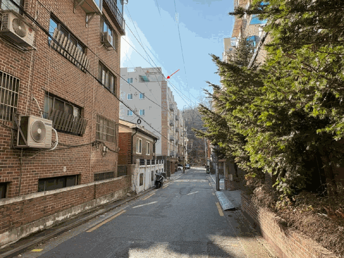 사진 7