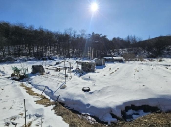 사진 2