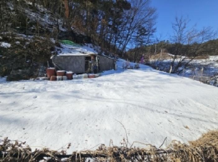 사진 11