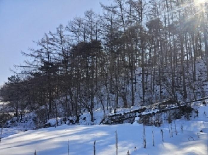 사진 13