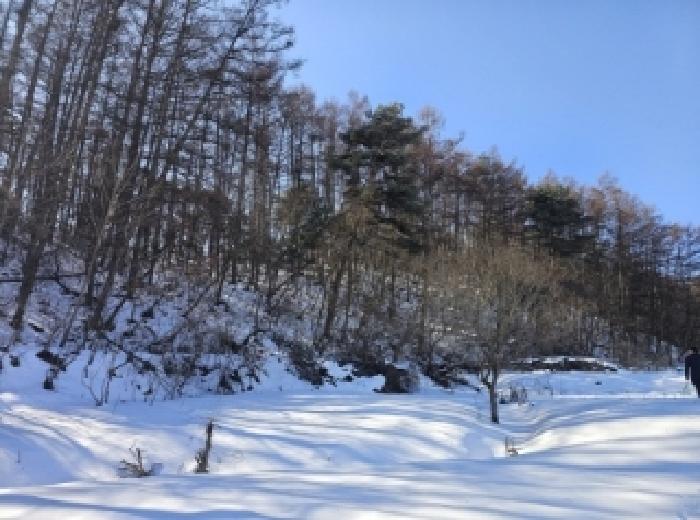 사진 14