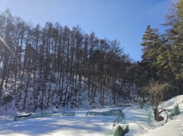 사진 15