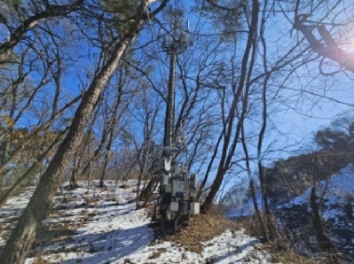 사진 21