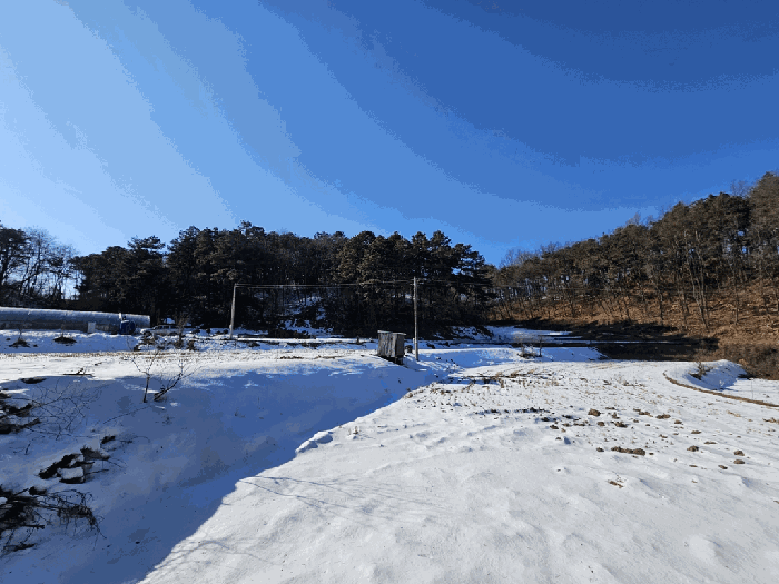 사진 47
