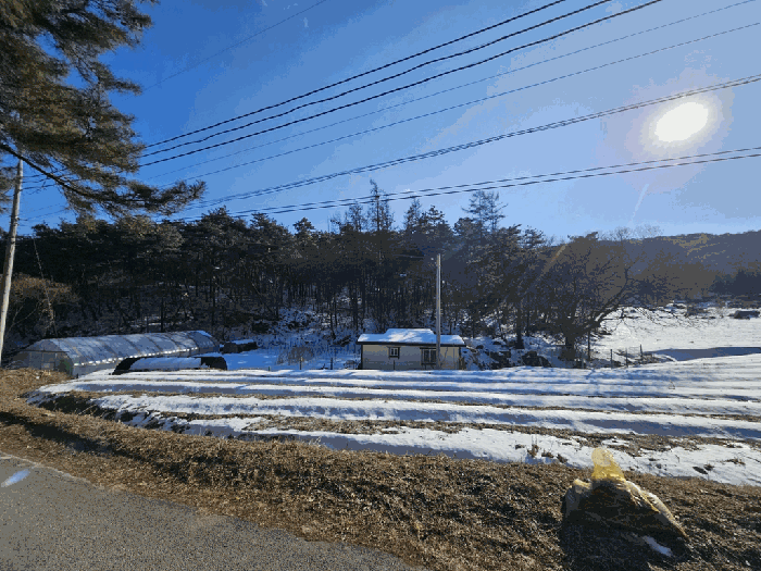 사진 55