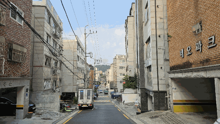 사진 11