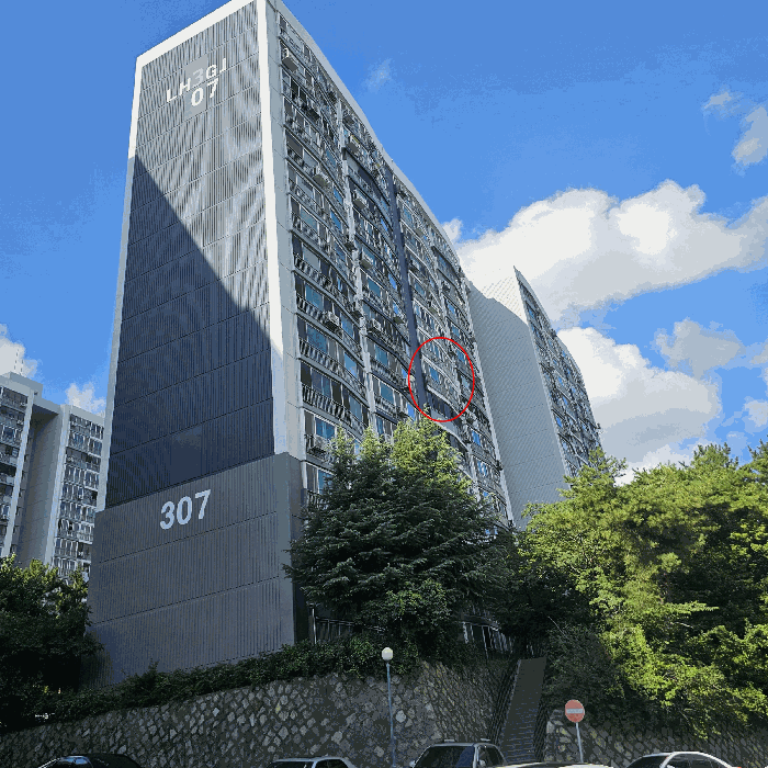 사진 5