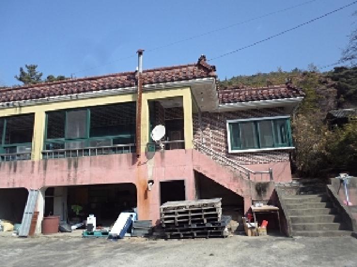 사진 1