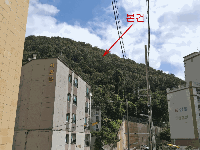 사진 1
