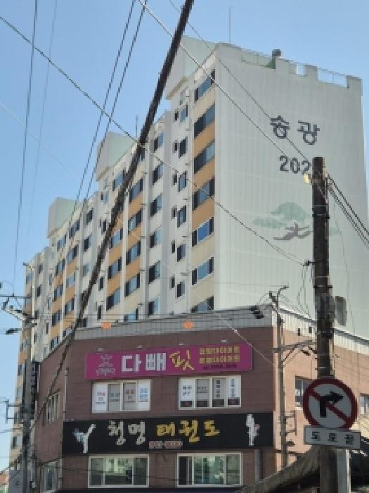 사진 9