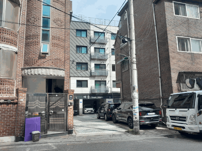 사진 10