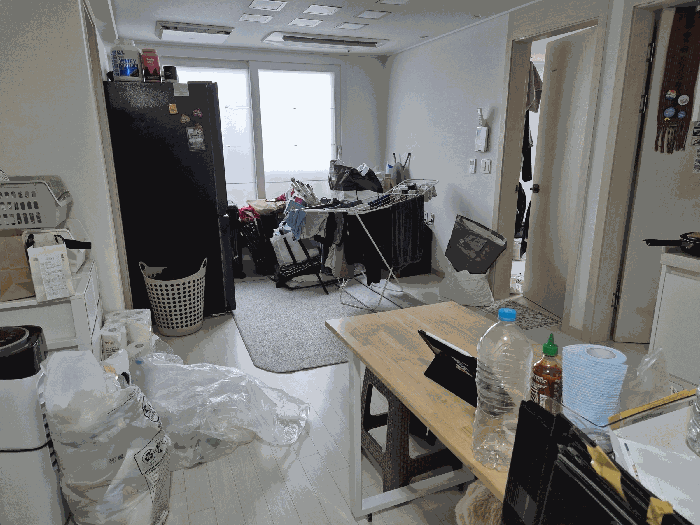 사진 14