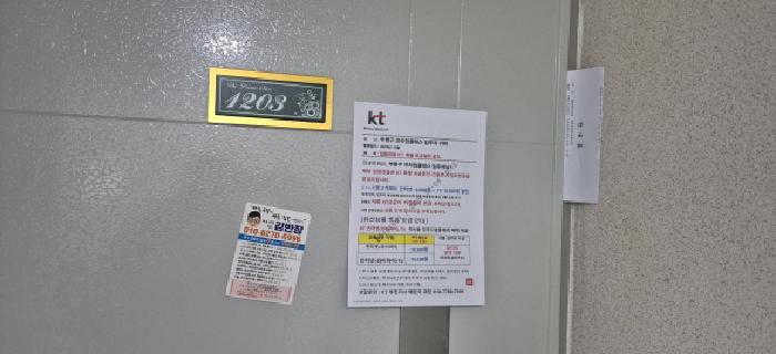 사진 13