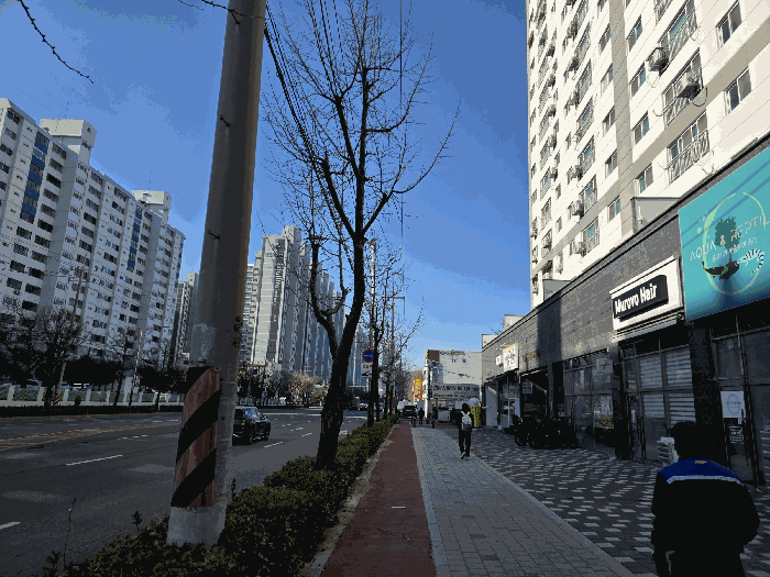 사진 5