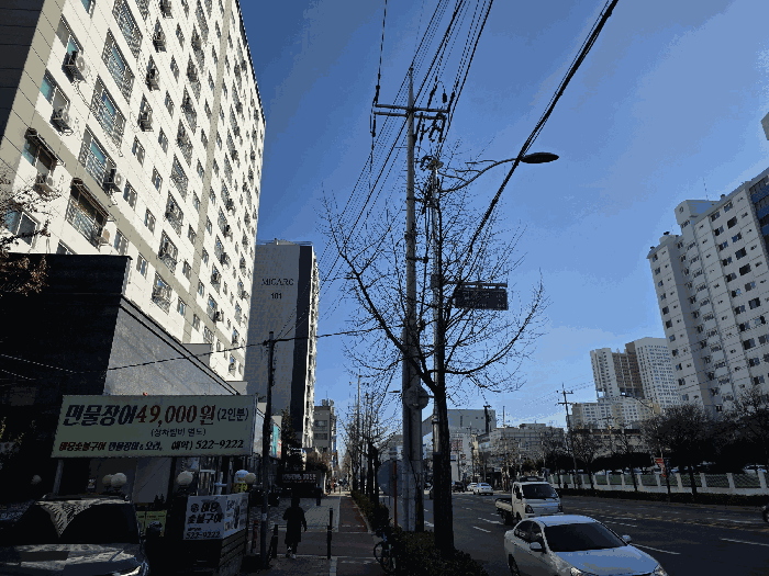 사진 8