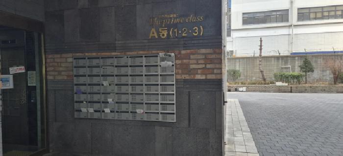 사진 10