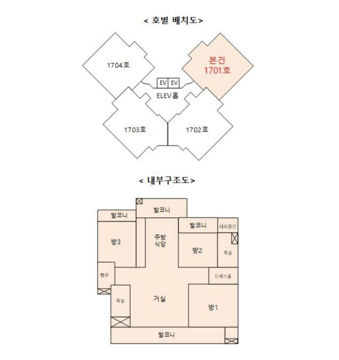 사진 15