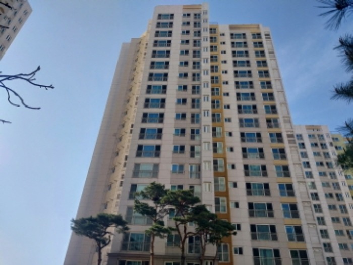 사진 17