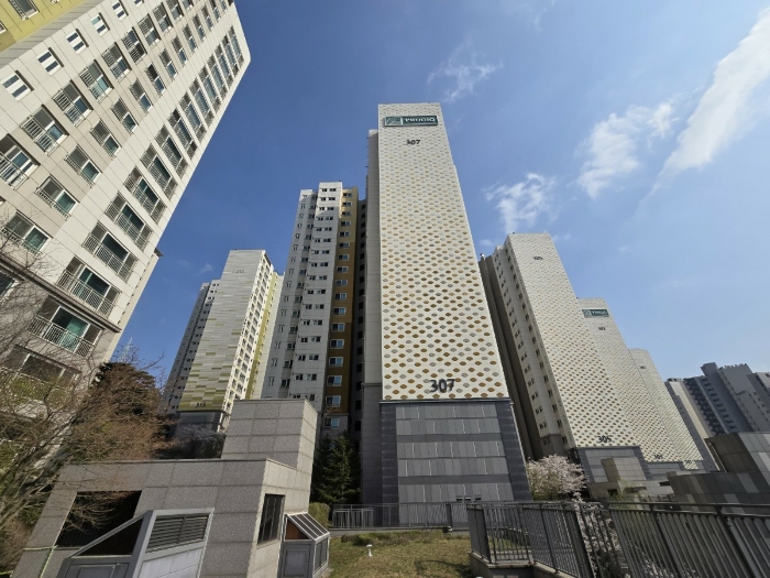 사진 5