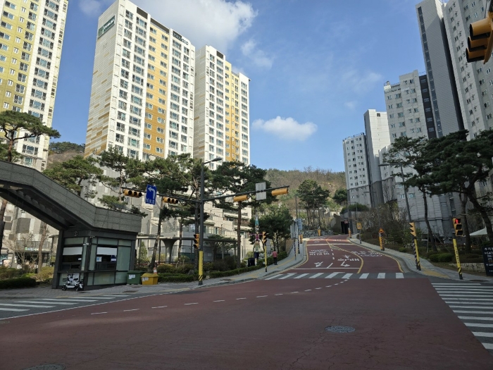 사진 7