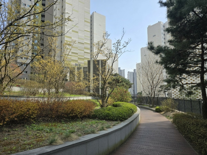 사진 9
