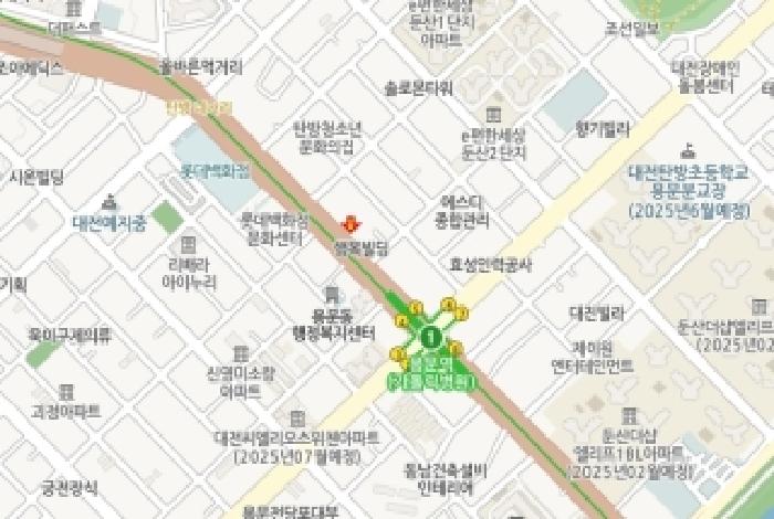 사진 15