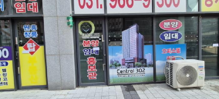 사진 5