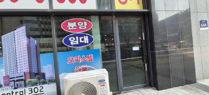 사진 12