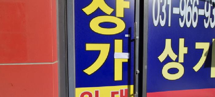 사진 15