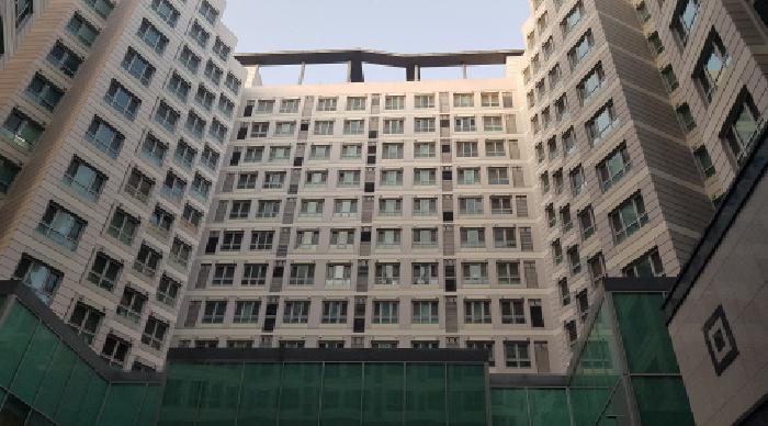 사진 6