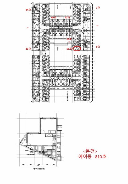사진 8