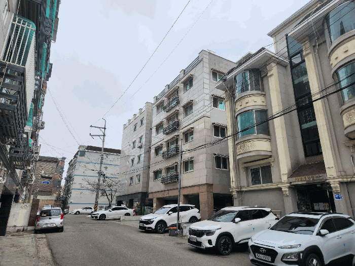 사진 11