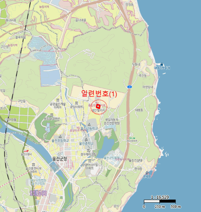 사진 5