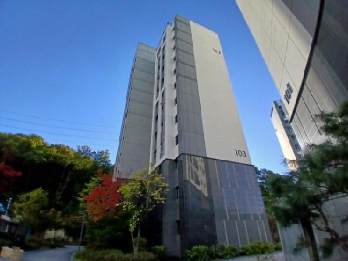 사진 1