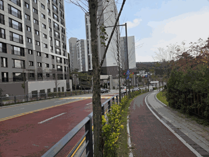 사진 13