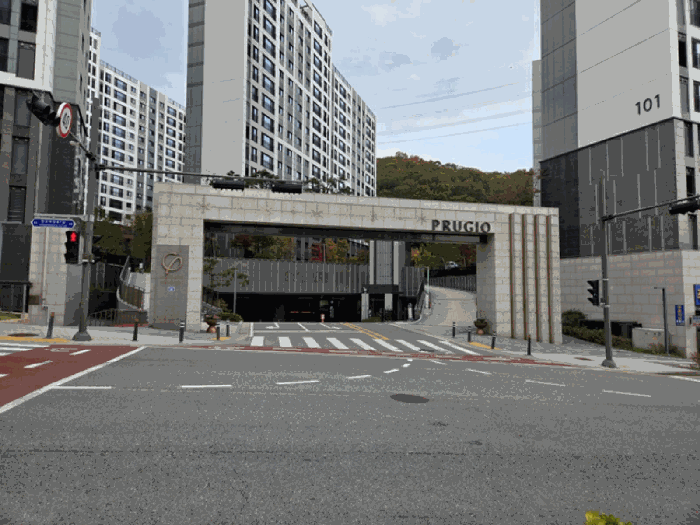 사진 9