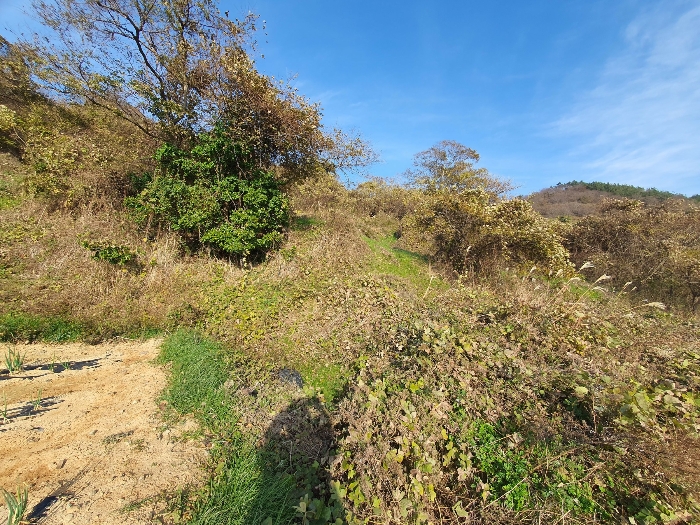 사진 11
