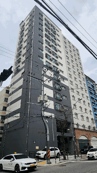 사진 10