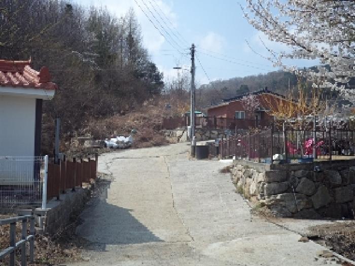 사진 2