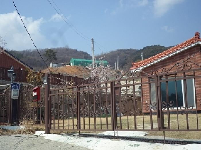 사진 3