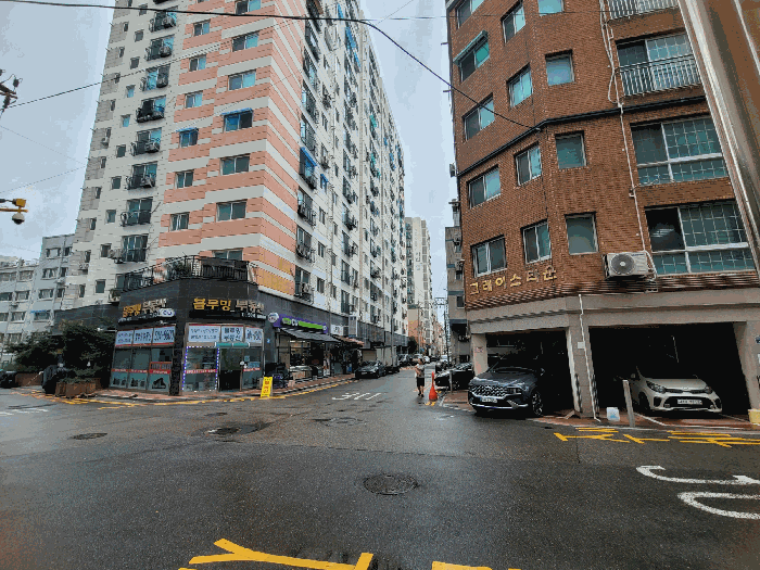 사진 11