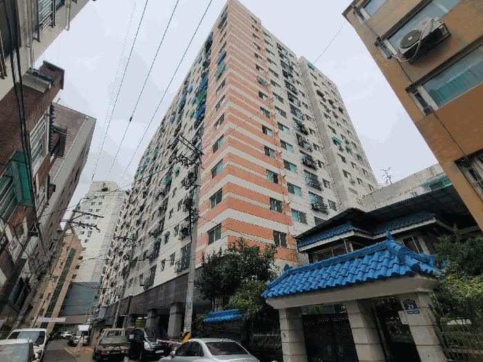 사진 12