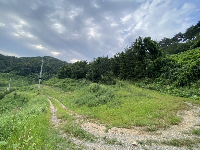사진 11