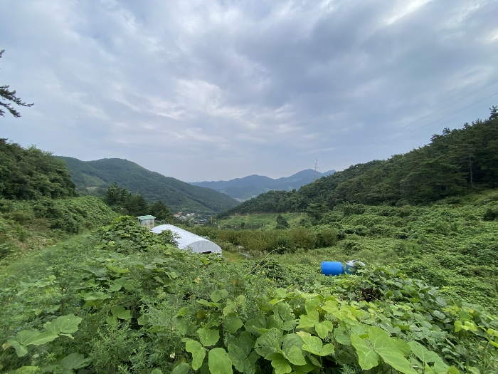 사진 13