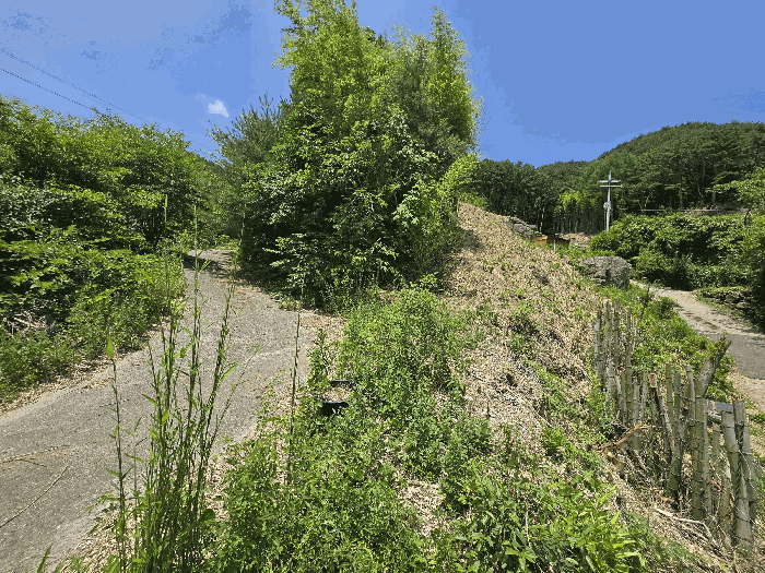 사진 2
