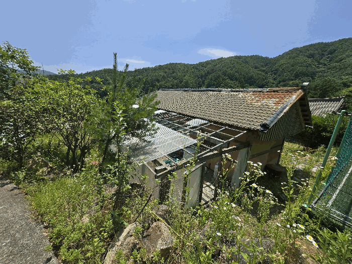 사진 1