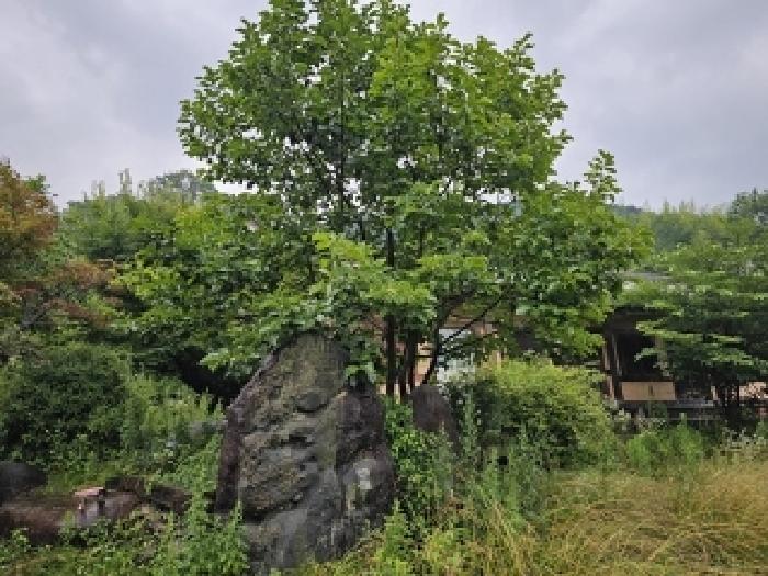 사진 55