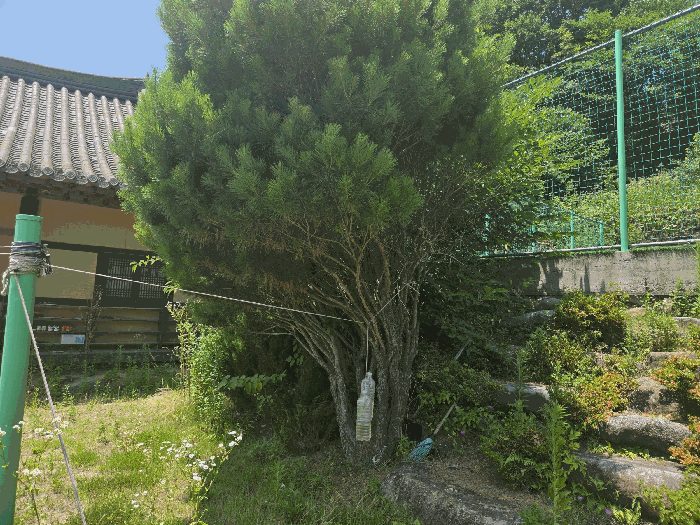 사진 6