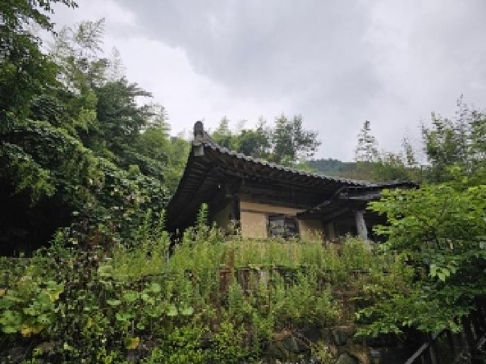 사진 68